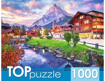 TopPuzzle Город в Швейцарии классический 1000 деталей