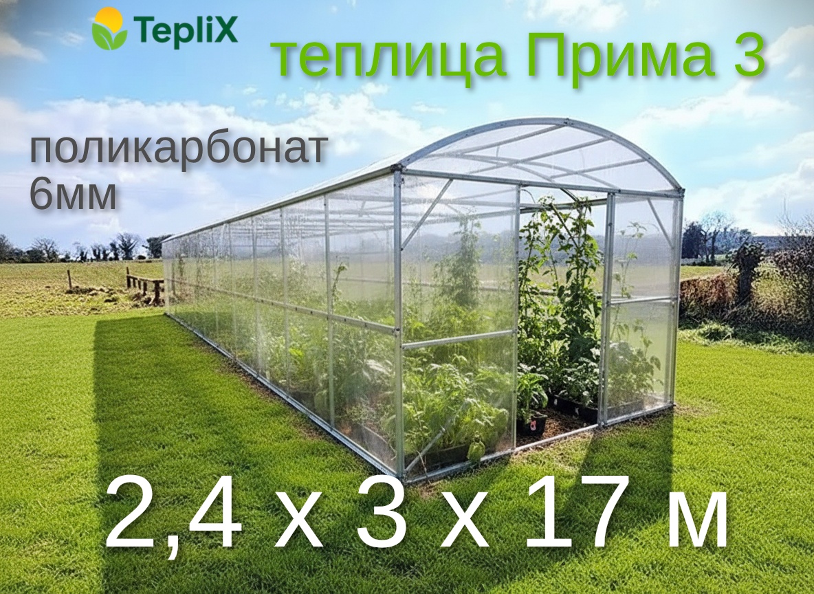 Теплица TepliX Прима 3 (3х17м), 6мм 240x300x1700 см, поликарбонат