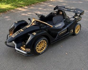 S-DRIVE SD 01 черный