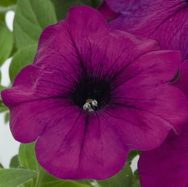 Фото 2