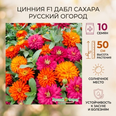 Русский огород цинния Цинния F1 Дабл Сахара