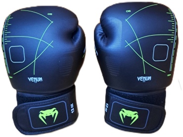 Боксерские перчатки Venum 10 oz черный, зеленый