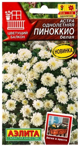 Аэлита астра Пиноккио белая