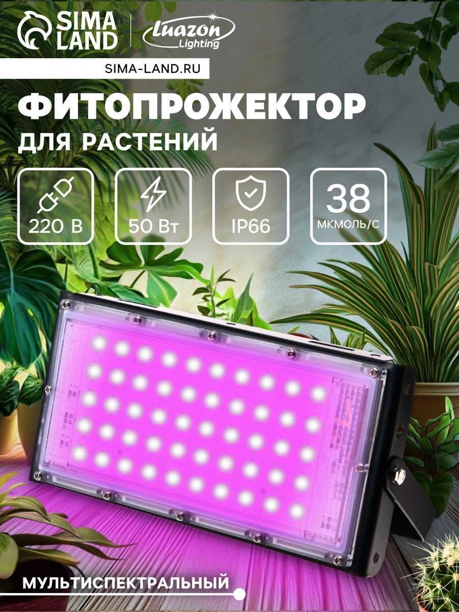 Светодиодная 5080682 50 Вт, 2 К