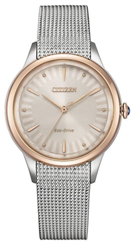 Кварцевые Citizen EM1156-80X нержавеющая сталь