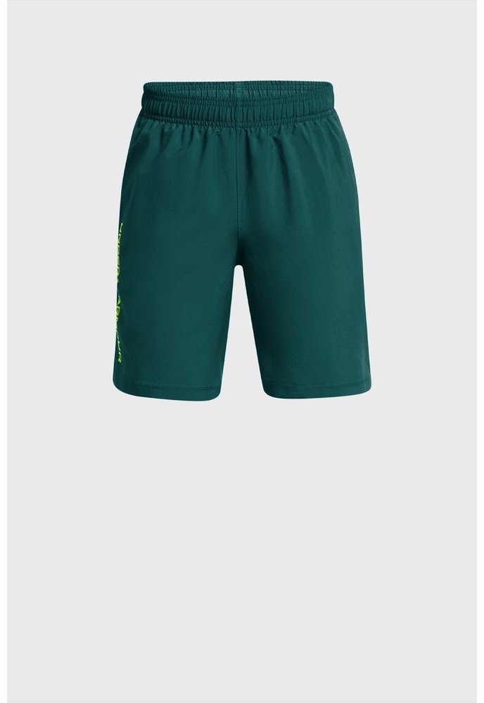 Спортивные шорты Under Armour зеленый