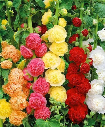 Фото 2