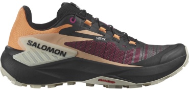 Кроссовки Salomon Genesis мультиколор