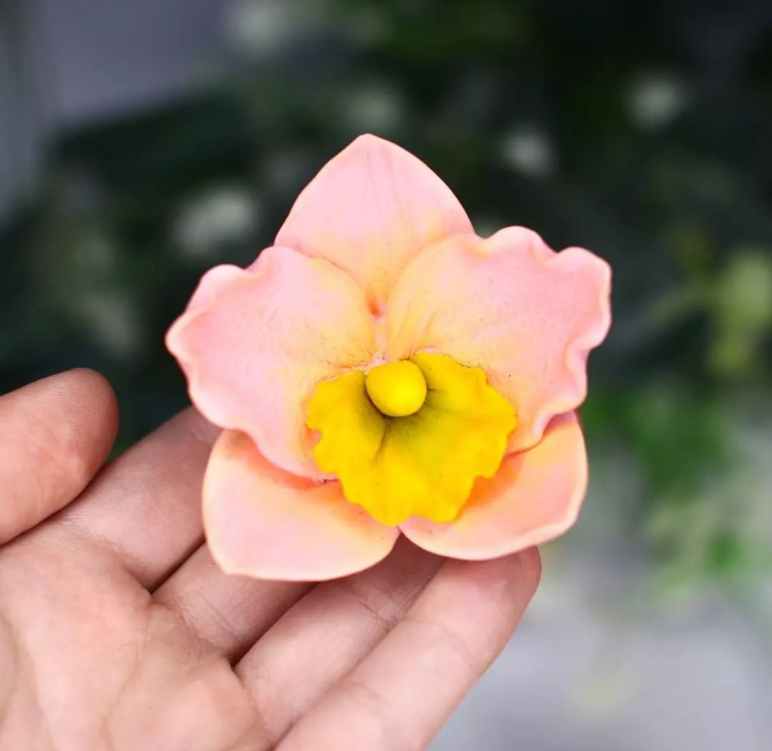 Фото 3