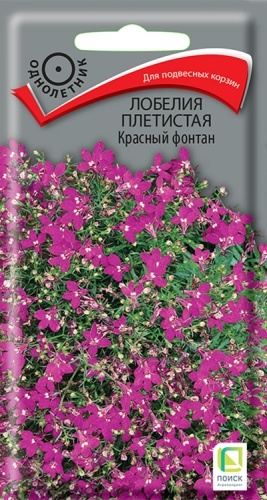 Поиск лобелия плетистая Красный фонтан