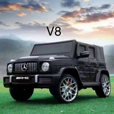 Mercedes -Benz G-class V8 черный