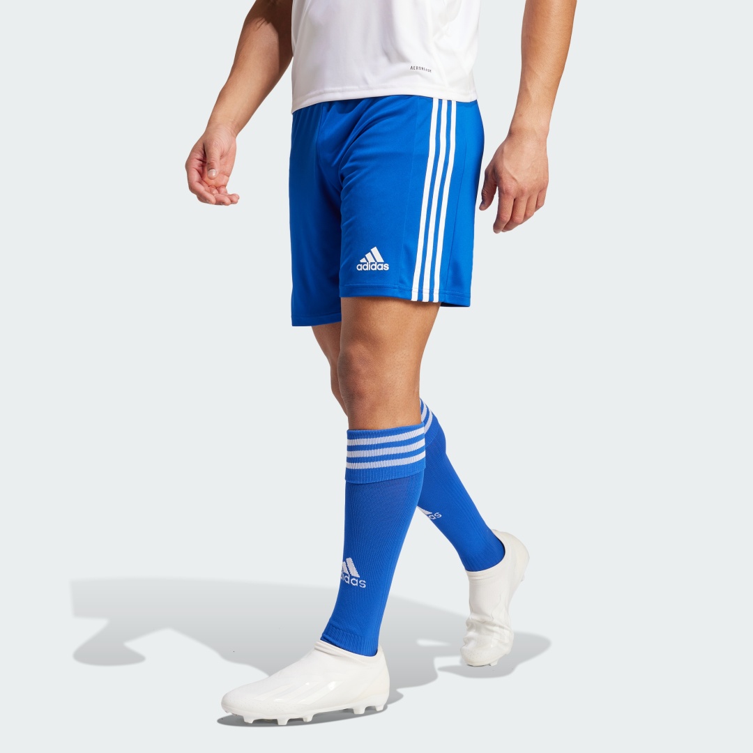 Спортивные шорты adidas синий