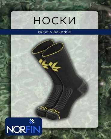 Носки NORFIN T2M BALANCE WINTER HIKING CREW (304725-03L) 42, 44, L