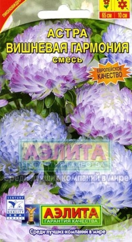 Аэлита астра Вишнёвая Гармония