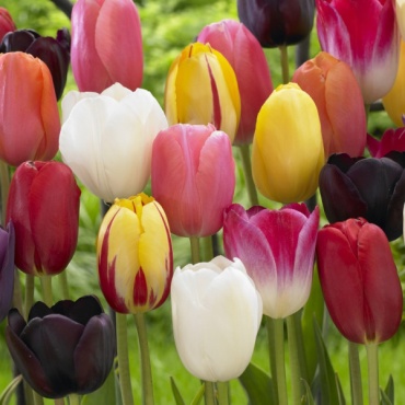 Фото 3