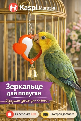 Зеркало для самостоятельных игр, пластик