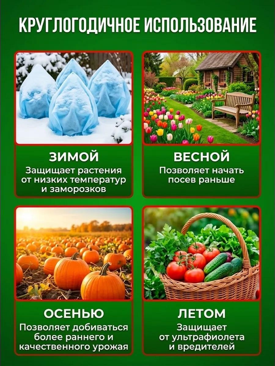 Фото 3