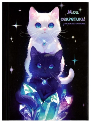 Записная книжка Феникс плюс Кот, A6, 64 л, черный