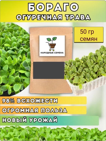 Народные семена микрозелень Бораго