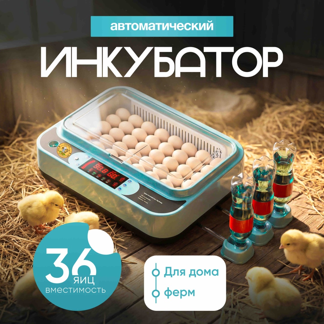 Инкубатор для 36 яиц