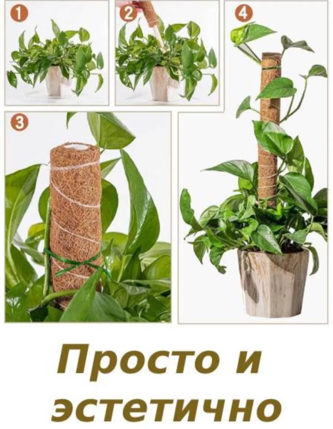 Фото 3