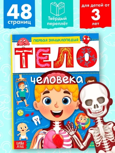 Ю. С. Соколова: Анатомия человека