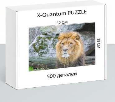 X-Quantum puzzle_f53zfpyty8 классический 500 деталей