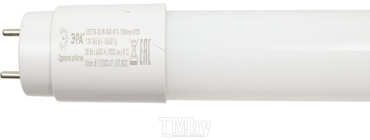 ЭРА 10W G13, светодиодная, холодный белый
