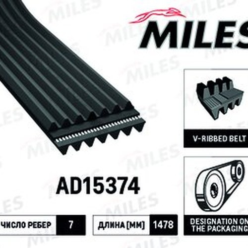 MILES ремень поликлиновый AD15374