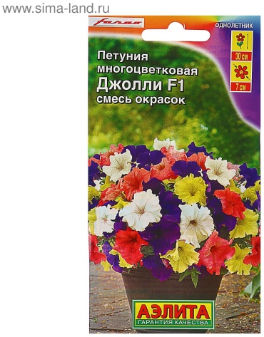 АЭЛИТА петуния Джолли