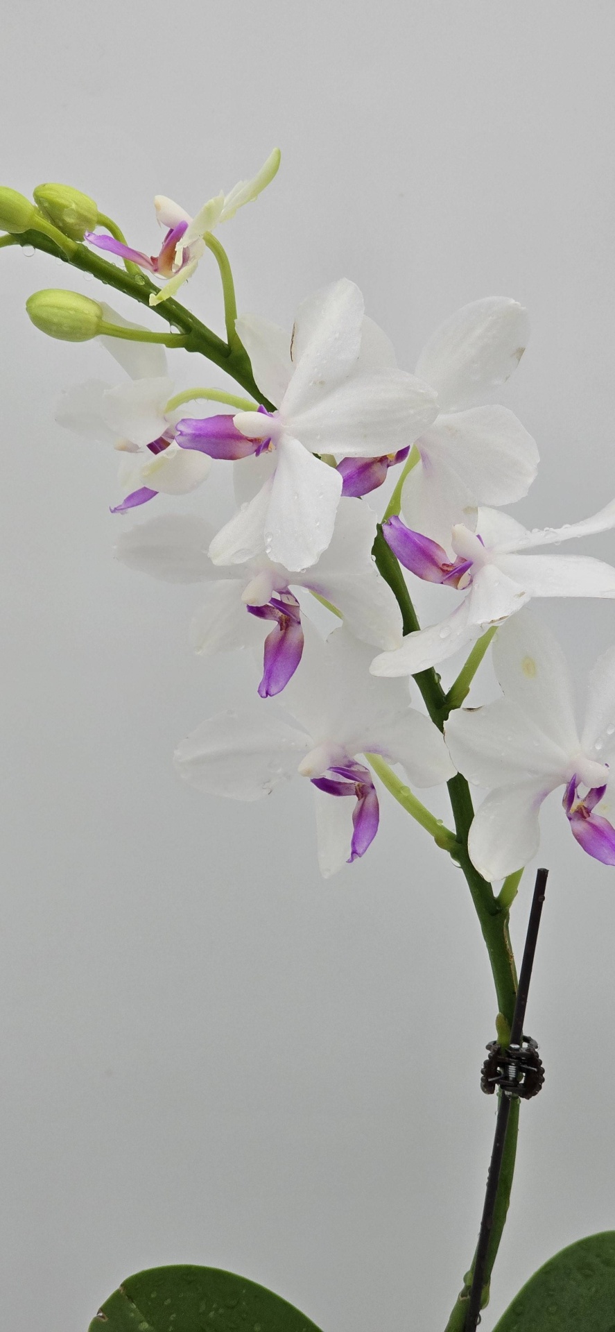 Фото 2