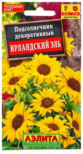 Аэлита подсолнух декоративный Ирландский эль