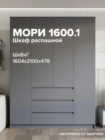 Распашной шкаф Dolvero17, 160.4x210х47.8 см, графит