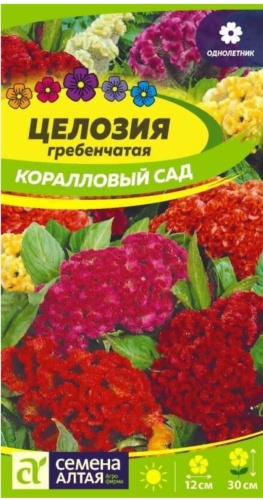 Целозия Коралловый сад