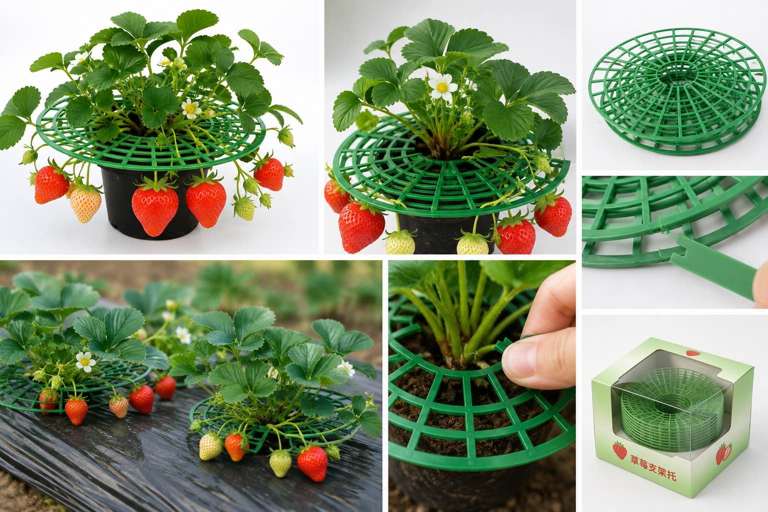 Кустодержатель для клубники 2x30 см, пластик