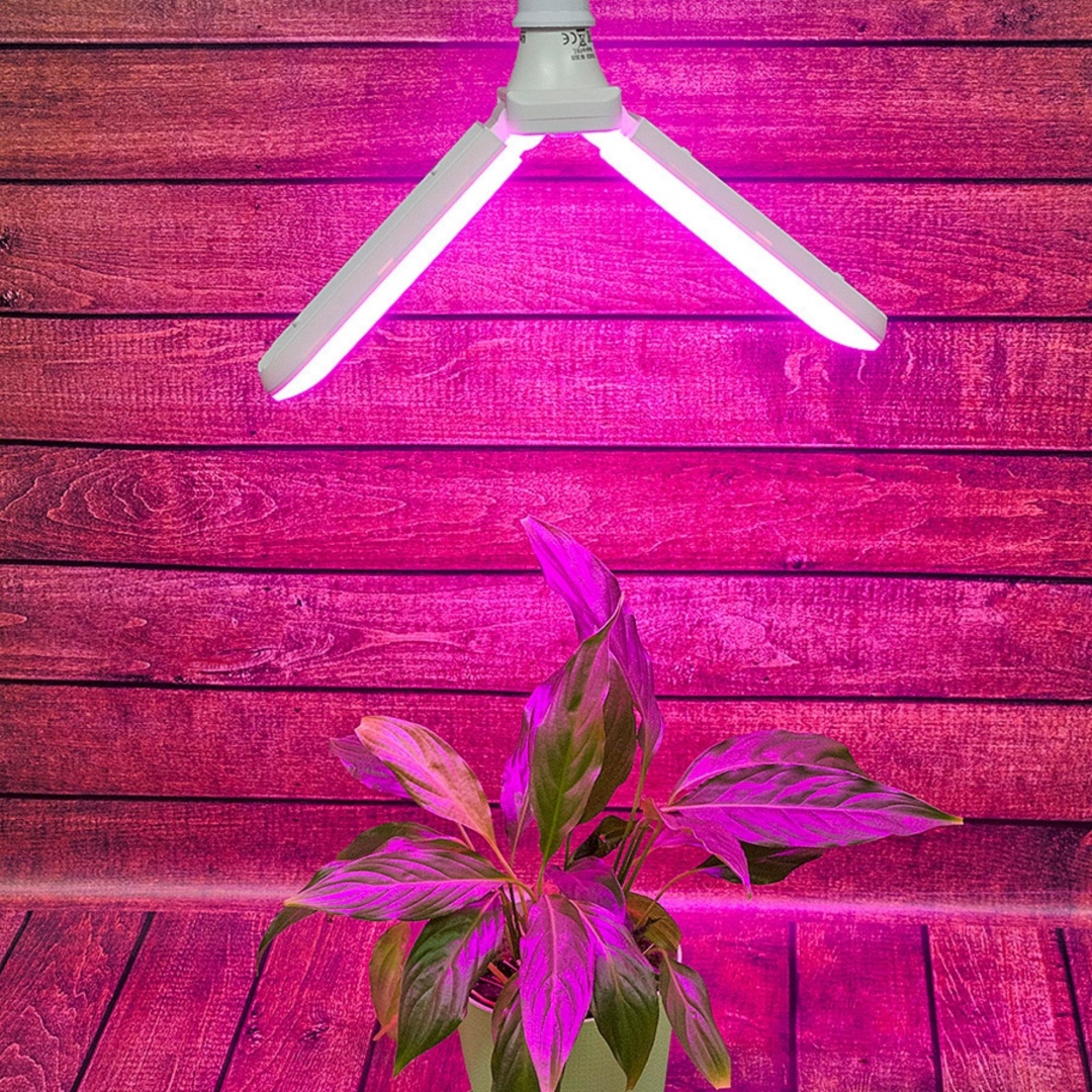 Фото 2