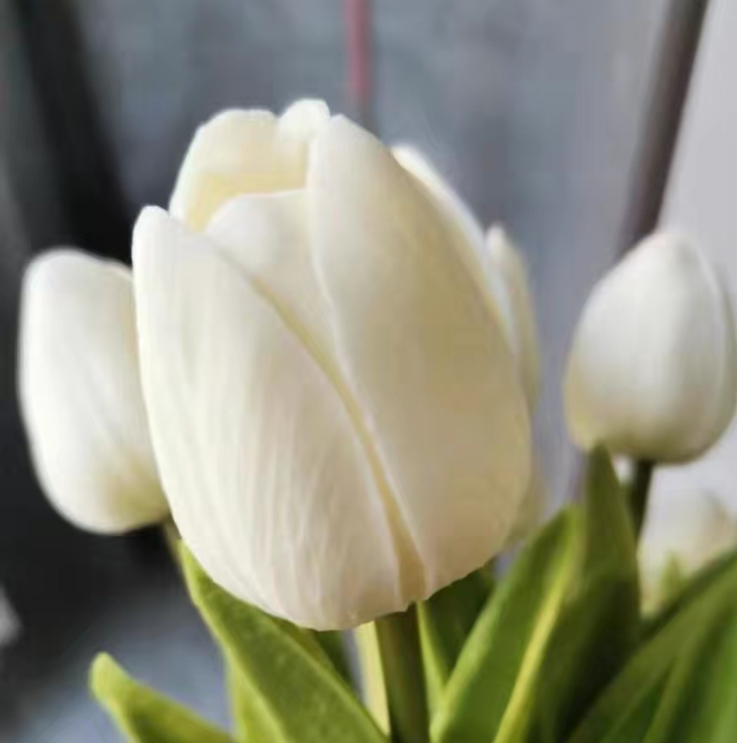 Фото 4