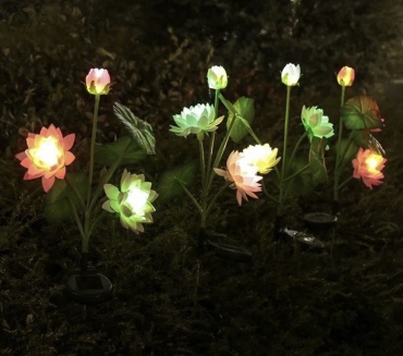Фото 2