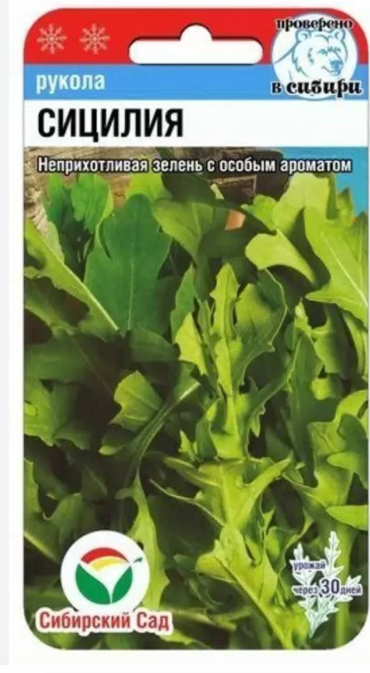 Сибирский сад индау Рукола сицилия