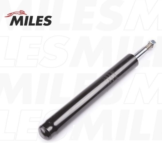 Амортизатор MILES передний DM00564-01 1 шт