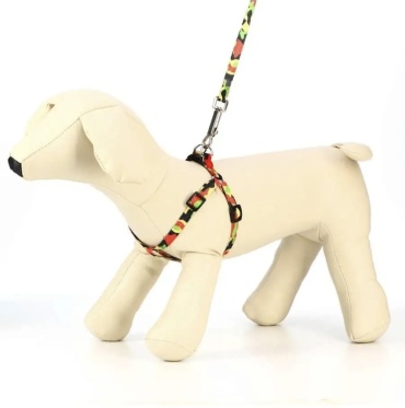 Pet Fashion шлейка с поводком для прогулки S красный, хаки
