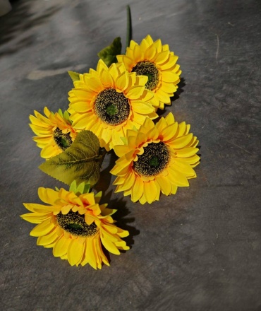 Фото 4