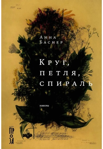 Баснер Анна: Круг, петля, спираль