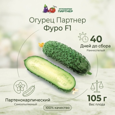 Партнер огурец Фуро F1