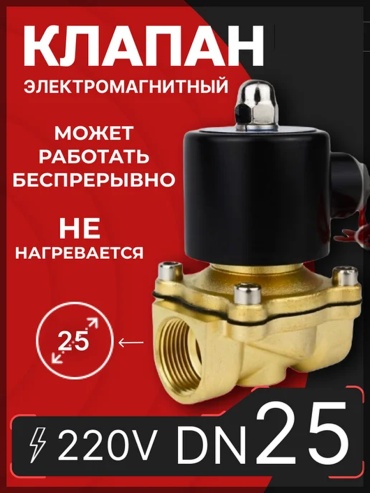 SNS 2w-250-25-220V закрытый 10 бар