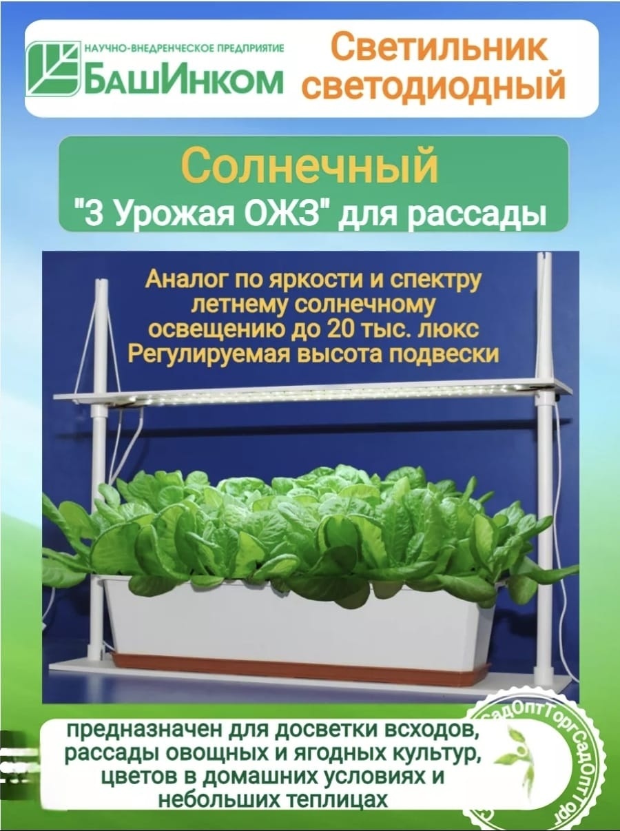 Ультрафиолетовая 4season 256482 39 Вт, 6400 К