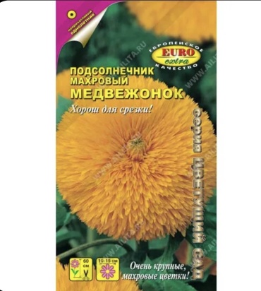 Аэлита подсолнечник Медвежонок