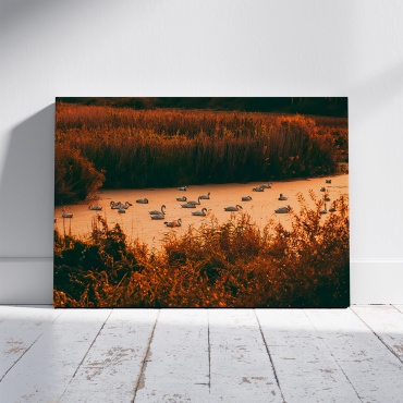 PEMIKAN CRAFT картина Лебеди в озере на закате 80x60 см