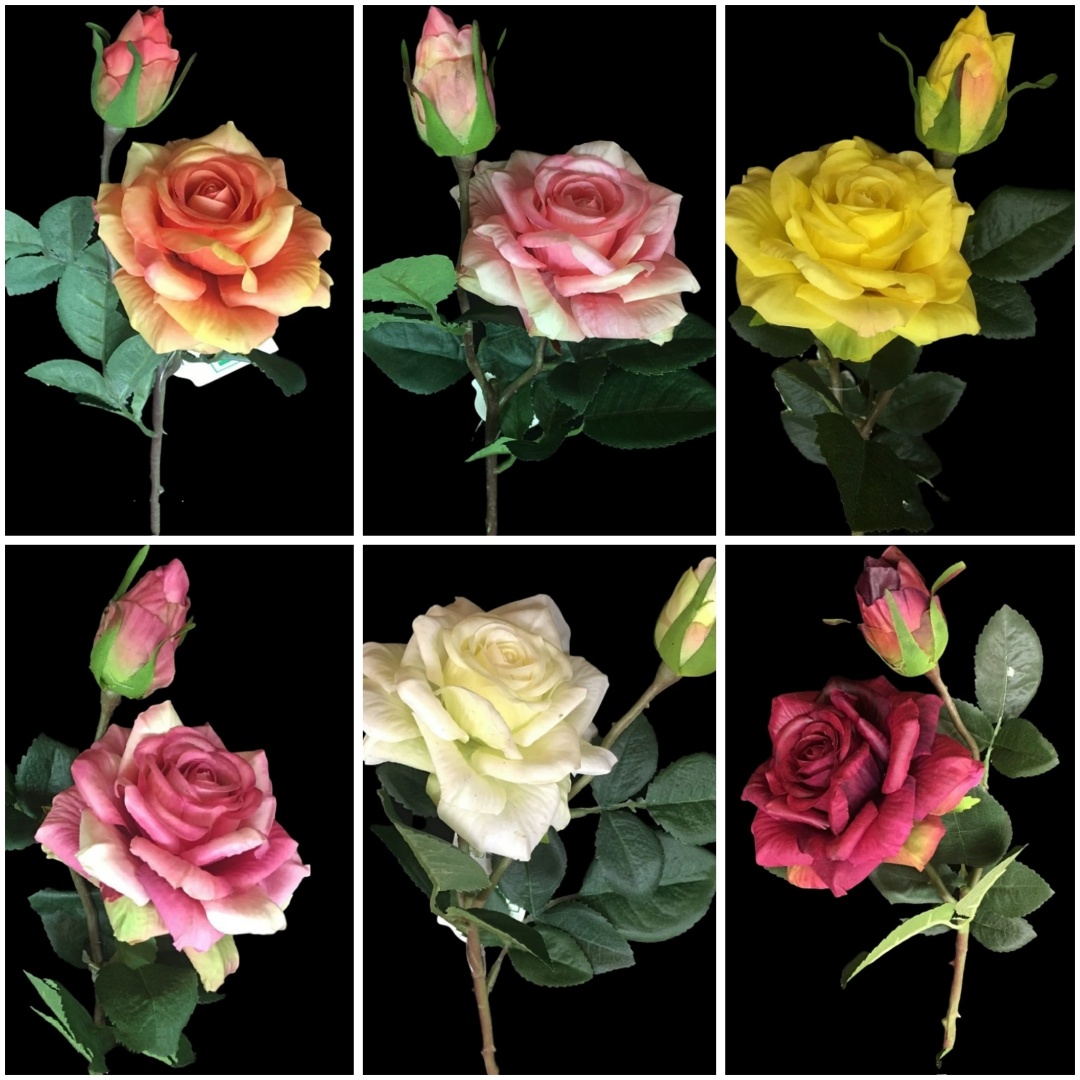 Фото 3