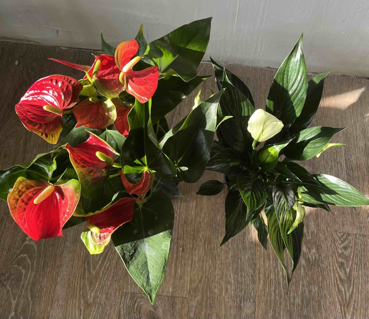 Фото 6